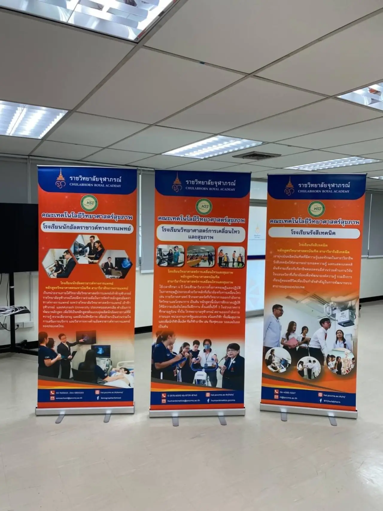 Roll-up Banner